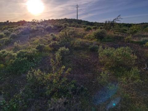 TERRENO MISTO COM 9.160 M2 - COM URBANO - ARMAZEM / GARAGEM - JUNQUEIRA - CASTRO MARIM - ALGARVE