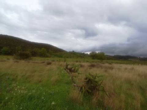 TERRENO MISTO COM 9.160 M2 - COM URBANO - ARMAZEM / GARAGEM - JUNQUEIRA - CASTRO MARIM - ALGARVE