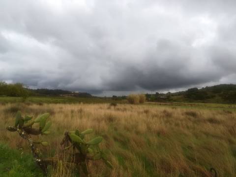 TERRENO MISTO COM 9.160 M2 - COM URBANO - ARMAZEM / GARAGEM - JUNQUEIRA - CASTRO MARIM - ALGARVE