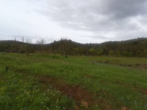 TERRENO MISTO COM 9.160 M2 - COM URBANO - ARMAZEM / GARAGEM - JUNQUEIRA - CASTRO MARIM - ALGARVE