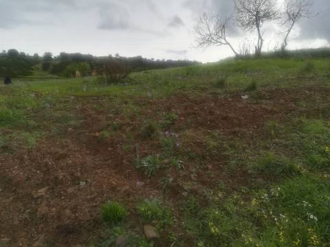 TERRENO MISTO COM 9.160 M2 - COM URBANO - ARMAZEM / GARAGEM - JUNQUEIRA - CASTRO MARIM - ALGARVE