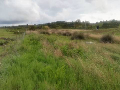 TERRENO MISTO COM 9.160 M2 - COM URBANO - ARMAZEM / GARAGEM - JUNQUEIRA - CASTRO MARIM - ALGARVE