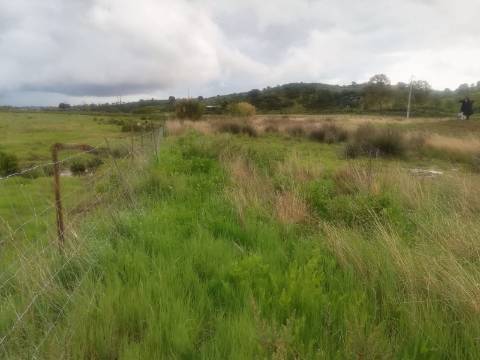 TERRENO MISTO COM 9.160 M2 - COM URBANO - ARMAZEM / GARAGEM - JUNQUEIRA - CASTRO MARIM - ALGARVE