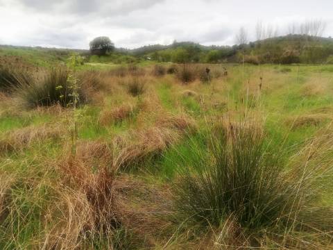 TERRENO MISTO COM 9.160 M2 - COM URBANO - ARMAZEM / GARAGEM - JUNQUEIRA - CASTRO MARIM - ALGARVE