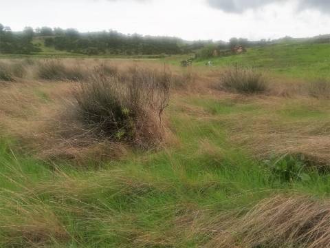 TERRENO MISTO COM 9.160 M2 - COM URBANO - ARMAZEM / GARAGEM - JUNQUEIRA - CASTRO MARIM - ALGARVE