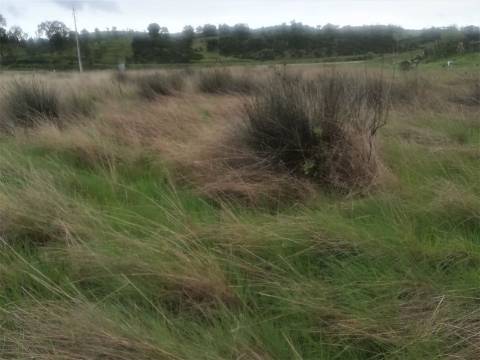 TERRENO MISTO COM 9.160 M2 - COM URBANO - ARMAZEM / GARAGEM - JUNQUEIRA - CASTRO MARIM - ALGARVE