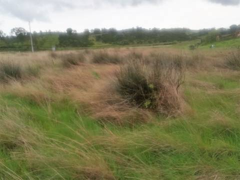 TERRENO MISTO COM 9.160 M2 - COM URBANO - ARMAZEM / GARAGEM - JUNQUEIRA - CASTRO MARIM - ALGARVE