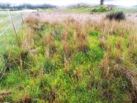 TERRENO MISTO COM 9.160 M2 - COM URBANO - ARMAZEM / GARAGEM - JUNQUEIRA - CASTRO MARIM - ALGARVE