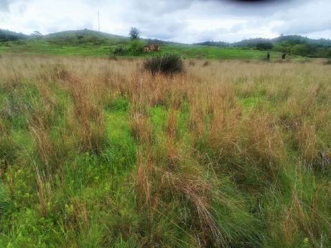 TERRENO MISTO COM 9.160 M2 - COM URBANO - ARMAZEM / GARAGEM - JUNQUEIRA - CASTRO MARIM - ALGARVE