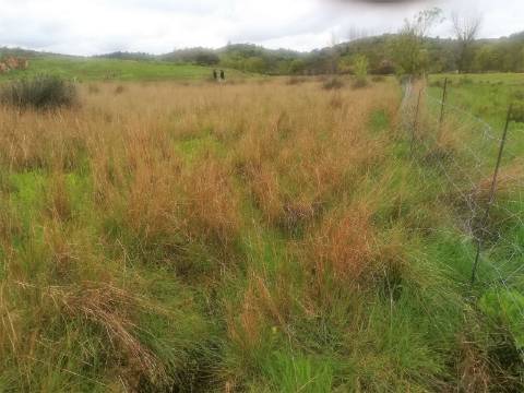 TERRENO MISTO COM 9.160 M2 - COM URBANO - ARMAZEM / GARAGEM - JUNQUEIRA - CASTRO MARIM - ALGARVE