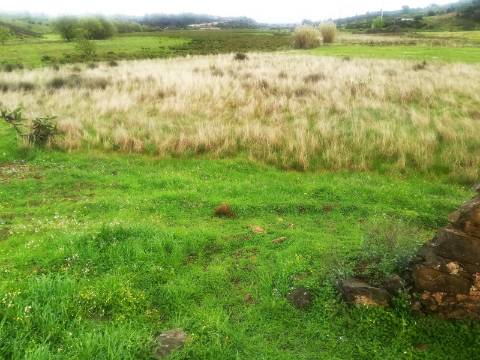 TERRENO MISTO COM 9.160 M2 - COM URBANO - ARMAZEM / GARAGEM - JUNQUEIRA - CASTRO MARIM - ALGARVE