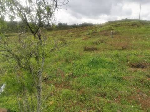 TERRENO MISTO COM 9.160 M2 - COM URBANO - ARMAZEM / GARAGEM - JUNQUEIRA - CASTRO MARIM - ALGARVE