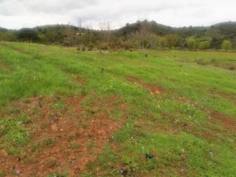 TERRENO MISTO COM 9.160 M2 - COM URBANO - ARMAZEM / GARAGEM - JUNQUEIRA - CASTRO MARIM - ALGARVE