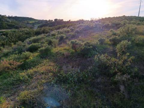 TERRENO MISTO COM 9.160 M2 - COM URBANO - ARMAZEM / GARAGEM - JUNQUEIRA - CASTRO MARIM - ALGARVE