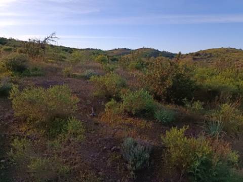 TERRENO MISTO COM 9.160 M2 - COM URBANO - ARMAZEM / GARAGEM - JUNQUEIRA - CASTRO MARIM - ALGARVE