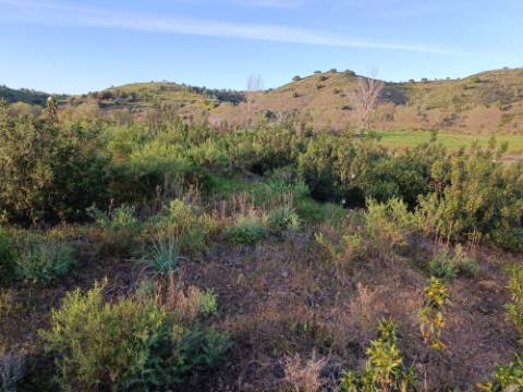 TERRENO MISTO COM 9.160 M2 - COM URBANO - ARMAZEM / GARAGEM - JUNQUEIRA - CASTRO MARIM - ALGARVE