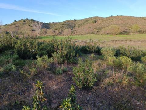 TERRENO MISTO COM 9.160 M2 - COM URBANO - ARMAZEM / GARAGEM - JUNQUEIRA - CASTRO MARIM - ALGARVE