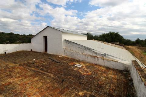 Para Reconstruir...Terreno com Ruína perto de Pechão!!!