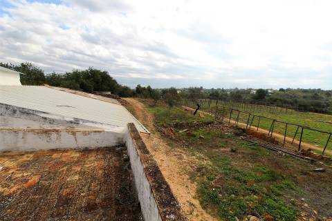 Para Reconstruir...Terreno com Ruína perto de Pechão!!!