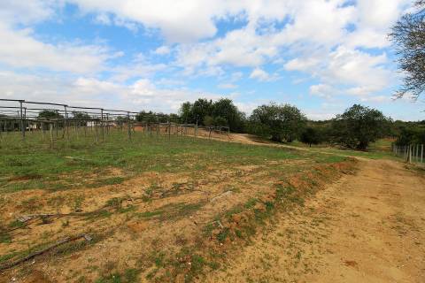 Para Reconstruir...Terreno com Ruína perto de Pechão!!!