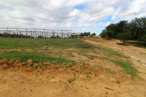 Para Reconstruir...Terreno com Ruína perto de Pechão!!!