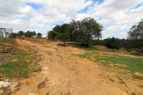 Para Reconstruir...Terreno com Ruína perto de Pechão!!!