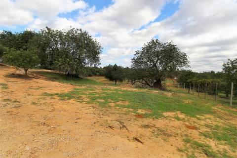 Para Reconstruir...Terreno com Ruína perto de Pechão!!!