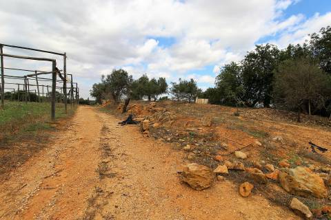 Para Reconstruir...Terreno com Ruína perto de Pechão!!!