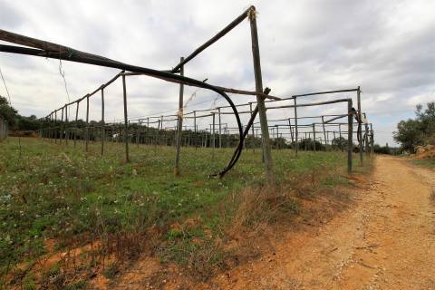 Para Reconstruir...Terreno com Ruína perto de Pechão!!!