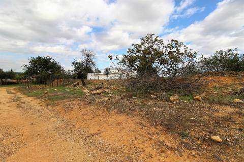 Para Reconstruir...Terreno com Ruína perto de Pechão!!!