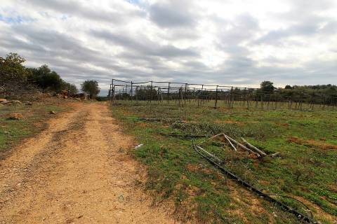 Para Reconstruir...Terreno com Ruína perto de Pechão!!!