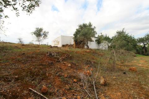 Para Reconstruir...Terreno com Ruína perto de Pechão!!!