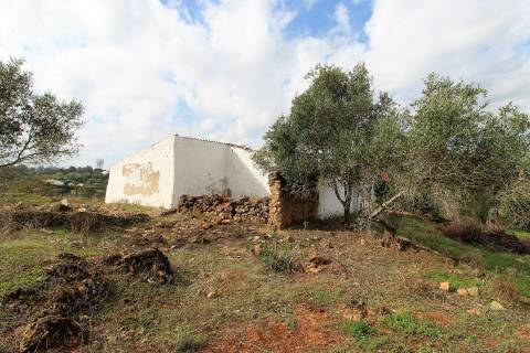 Para Reconstruir...Terreno com Ruína perto de Pechão!!!