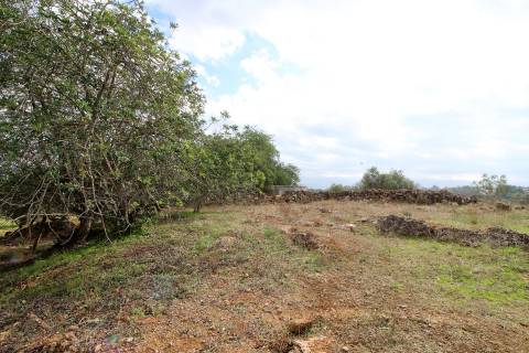 Para Reconstruir...Terreno com Ruína perto de Pechão!!!