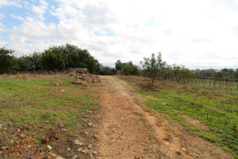 Para Reconstruir...Terreno com Ruína perto de Pechão!!!