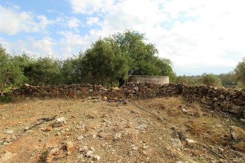 Para Reconstruir...Terreno com Ruína perto de Pechão!!!