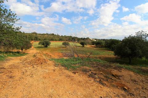Para Reconstruir...Terreno com Ruína perto de Pechão!!!