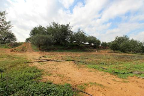Para Reconstruir...Terreno com Ruína perto de Pechão!!!