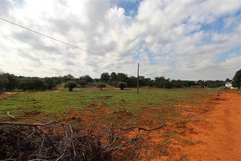 Para Reconstruir...Terreno com Ruína perto de Pechão!!!