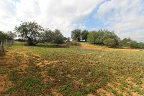 Para Reconstruir...Terreno com Ruína perto de Pechão!!!