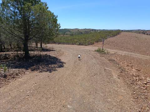 TERRENO RUSTICO COM 4.520 M2 - PRÓXIMO DA CORTE DO GAGO EM CASTRO MARIM - ALGARVE