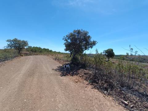 TERRENO RUSTICO COM 4.520 M2 - PRÓXIMO DA CORTE DO GAGO EM CASTRO MARIM - ALGARVE