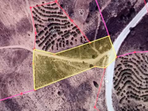 TERRENO RUSTICO COM 4.520 M2 - PRÓXIMO DA CORTE DO GAGO EM CASTRO MARIM - ALGARVE