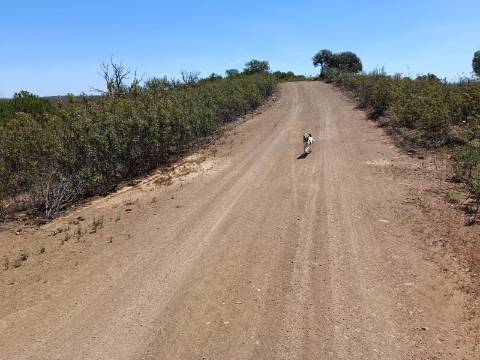 TERRENO RUSTICO COM 4.520 M2 - PRÓXIMO DA CORTE DO GAGO EM CASTRO MARIM - ALGARVE