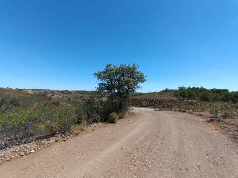 TERRENO RUSTICO COM 4.520 M2 - PRÓXIMO DA CORTE DO GAGO EM CASTRO MARIM - ALGARVE