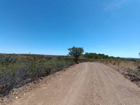 TERRENO RUSTICO COM 4.520 M2 - PRÓXIMO DA CORTE DO GAGO EM CASTRO MARIM - ALGARVE