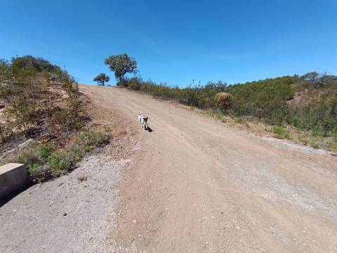 TERRENO RUSTICO COM 4.520 M2 - PRÓXIMO DA CORTE DO GAGO EM CASTRO MARIM - ALGARVE