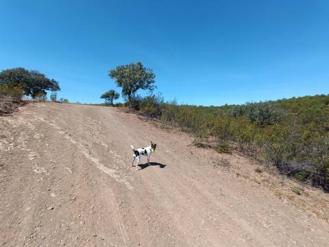 TERRENO RUSTICO COM 4.520 M2 - PRÓXIMO DA CORTE DO GAGO EM CASTRO MARIM - ALGARVE