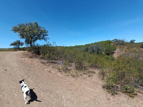 TERRENO RUSTICO COM 4.520 M2 - PRÓXIMO DA CORTE DO GAGO EM CASTRO MARIM - ALGARVE