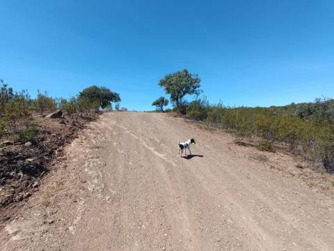 TERRENO RUSTICO COM 4.520 M2 - PRÓXIMO DA CORTE DO GAGO EM CASTRO MARIM - ALGARVE